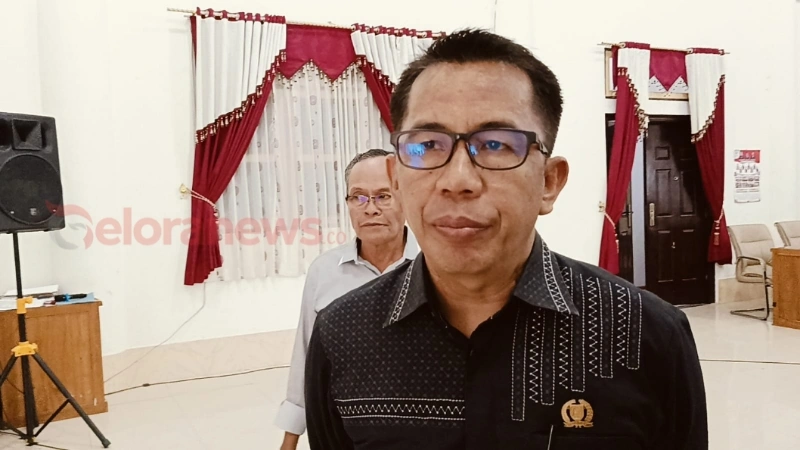 Wakil Ketua I DPRD Barito Selatan (Barsel), Kalimantan Tengah, Ideham (foto: Geloranews.co/dok)