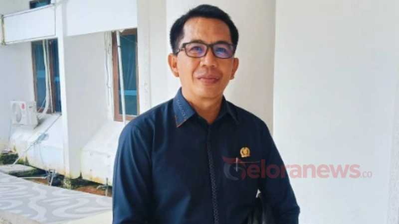 Wakil Ketua DPRD Barsel, Ideham