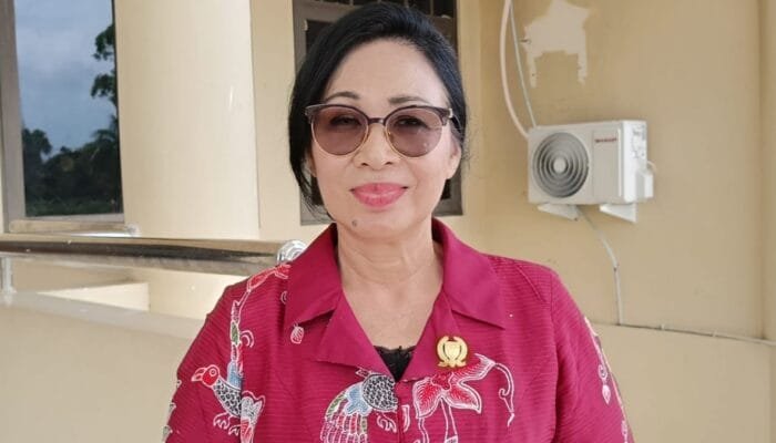 Ketua Komisi II DPRD Barsel Desak Perbaikan Jalan Nasional Rusak Akibat Banjir