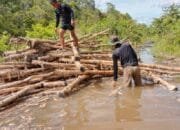 Satgas TMMD ke-124 Angkut Kayu Cerucuk Bangun Badan Jalan