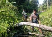 Satgas TMMD ke-124 dan Warga Bersihkan Pohon Penghalang di Jalan Desa Talio