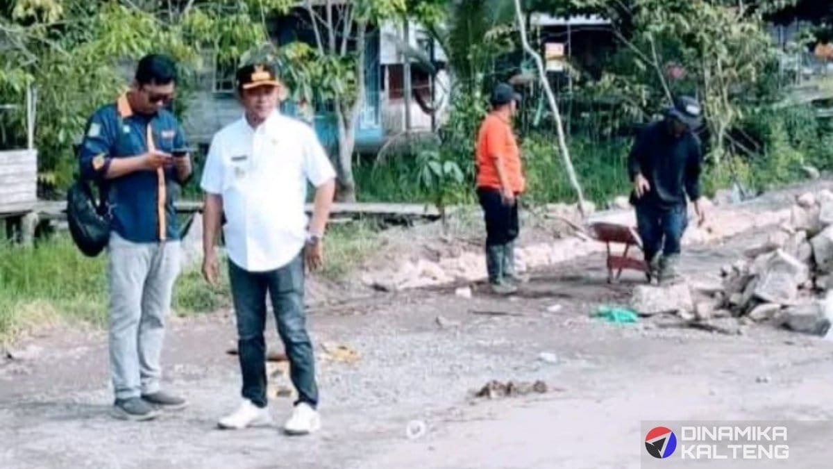 wabup-barsel-tinjau-jalan-rusak-di-pararapak,-pemkab-ambil-langkah-cepat