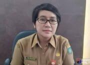 Jalan Rusak Parah di Desa Pararapak, Kadis PUPR Barsel Minta Izin Tangani Sementara