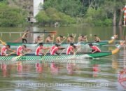 Bupati Cup Dayung Dragon Boat Meriahkan HUT Barsel ke-66