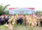 Polres Barito Selatan Panen Jagung Dukung Program Asta Cita Presiden RI