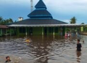 Banjir Rendam Sembilan Desa di Dusun Hilir Barito Selatan, Aktivitas Pertanian Lumpuh