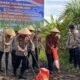 Kapolres Barsel Pimpin Penanaman Jagung Serentak Kuartal I 2026 di Desa Sababilah
