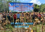 Panen Raya Jagung di Barito Selatan Tembus Puluhan Ton, Polres Gandeng Petani Wujudkan Ketahanan Pangan