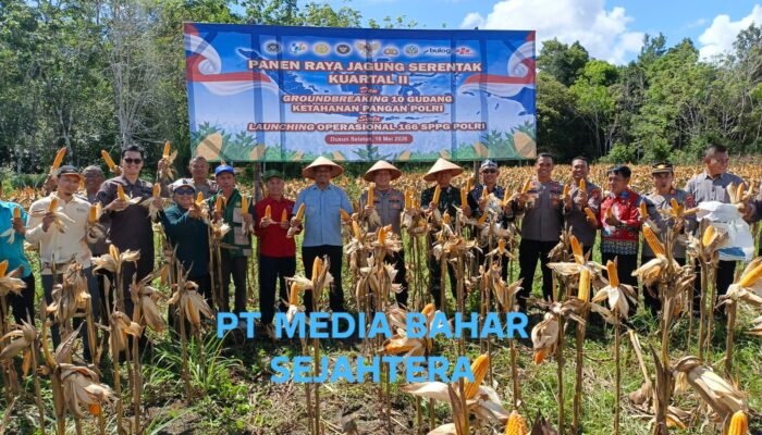 Panen Raya Jagung di Barito Selatan Tembus Puluhan Ton, Polres Gandeng Petani Wujudkan Ketahanan Pangan