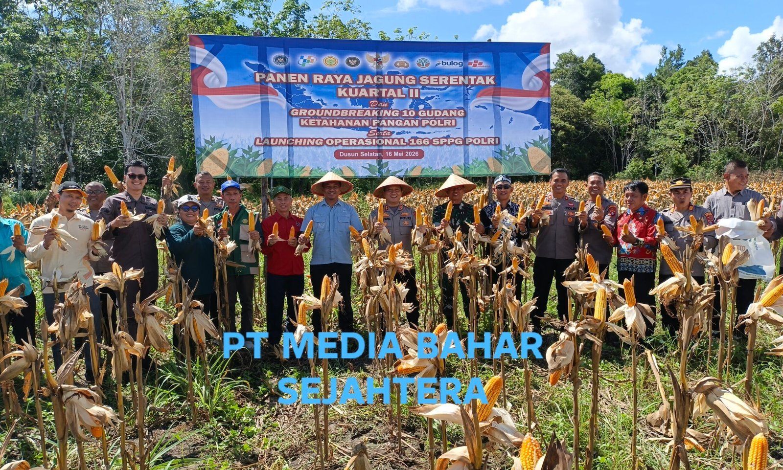 panen-raya-jagung-di-barito-selatan-tembus-puluhan-ton,-polres-gandeng-petani-wujudkan-ketahanan-pangan