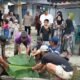 Semangat Kebersamaan Idul Adha, Jamaah Langgar Al Hasanah Jl Kaladan Sembelih Sapi Kurban untuk Seluruh Warga