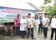 Hari Raya Idul Adha 1447 H, Polres Barsel Sembelih 16 Ekor Sapi, Kapolres Barsel Serahkan Hewan Kurban untuk Jamaah Masjid Kuba Danau Ganting