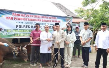 hari-raya-idul-adha-1447-h,-polres-barsel-sembelih-16-ekor-sapi,-kapolres-barsel-serahkan-hewan-kurban-untuk-jamaah-masjid-kuba-danau-ganting