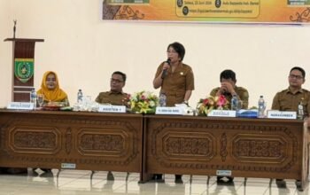 pemkab-barito-selatan-perkuat-kesetaraan,-gelar-rakor-dan-advokasi-pengarusutamaan-gender-2026