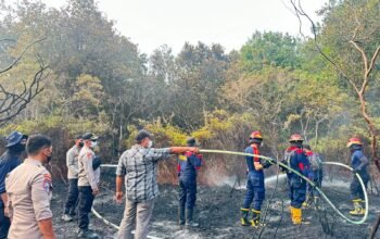 karhutla-pamangka-sulit-dipadamkan,-kapolres-barsel-dan-wabup-turun-langsung-jinakkan-si-jago-merah