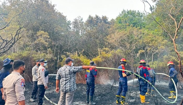 Karhutla Pamangka Sulit Dipadamkan, Kapolres Barsel dan Wabup Turun Langsung Jinakkan Si Jago Merah