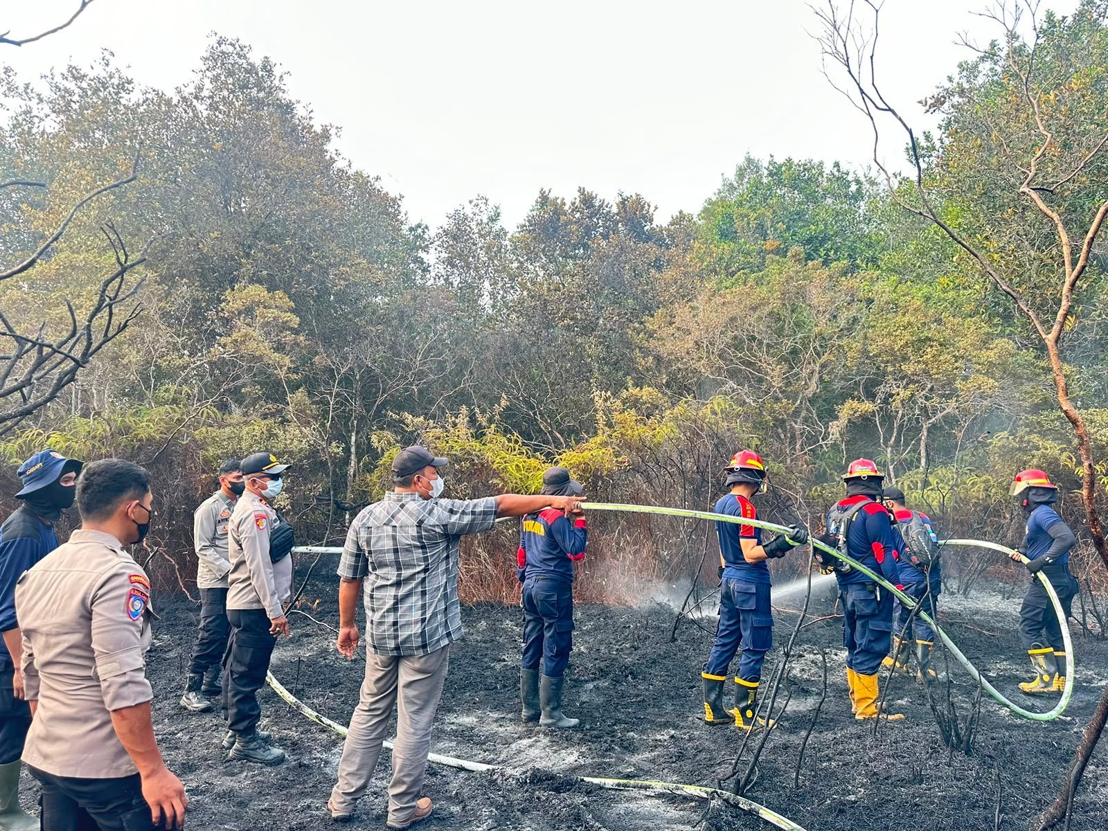 karhutla-pamangka-sulit-dipadamkan,-kapolres-barsel-dan-wabup-turun-langsung-jinakkan-si-jago-merah