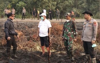 kepala-bpbd-barsel-tegaskan,-anggaran-penanganan-karhutla-aman