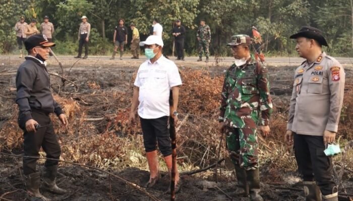Kepala BPBD Barsel Tegaskan, Anggaran Penanganan Karhutla Aman
